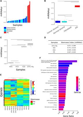 Stemness inhibition by (+)-JQ1 in canine and human mammary cancer cells revealed by machine learning